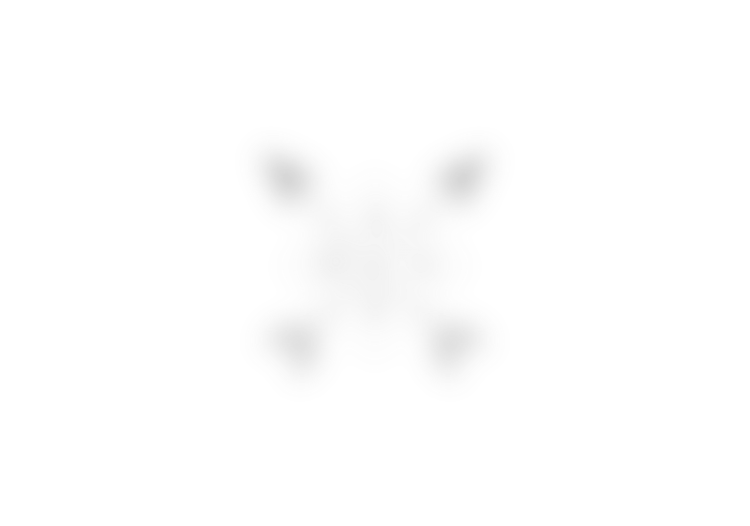 logo1