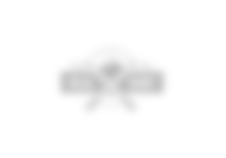 logo3