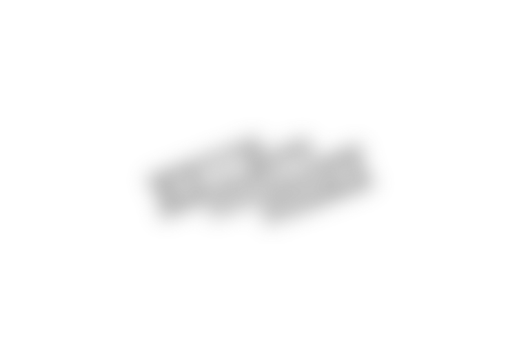 logo4