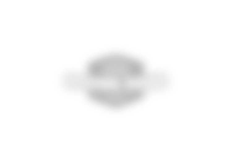 logo5