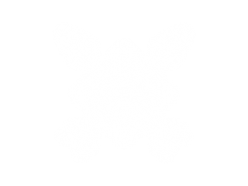 logo1-white